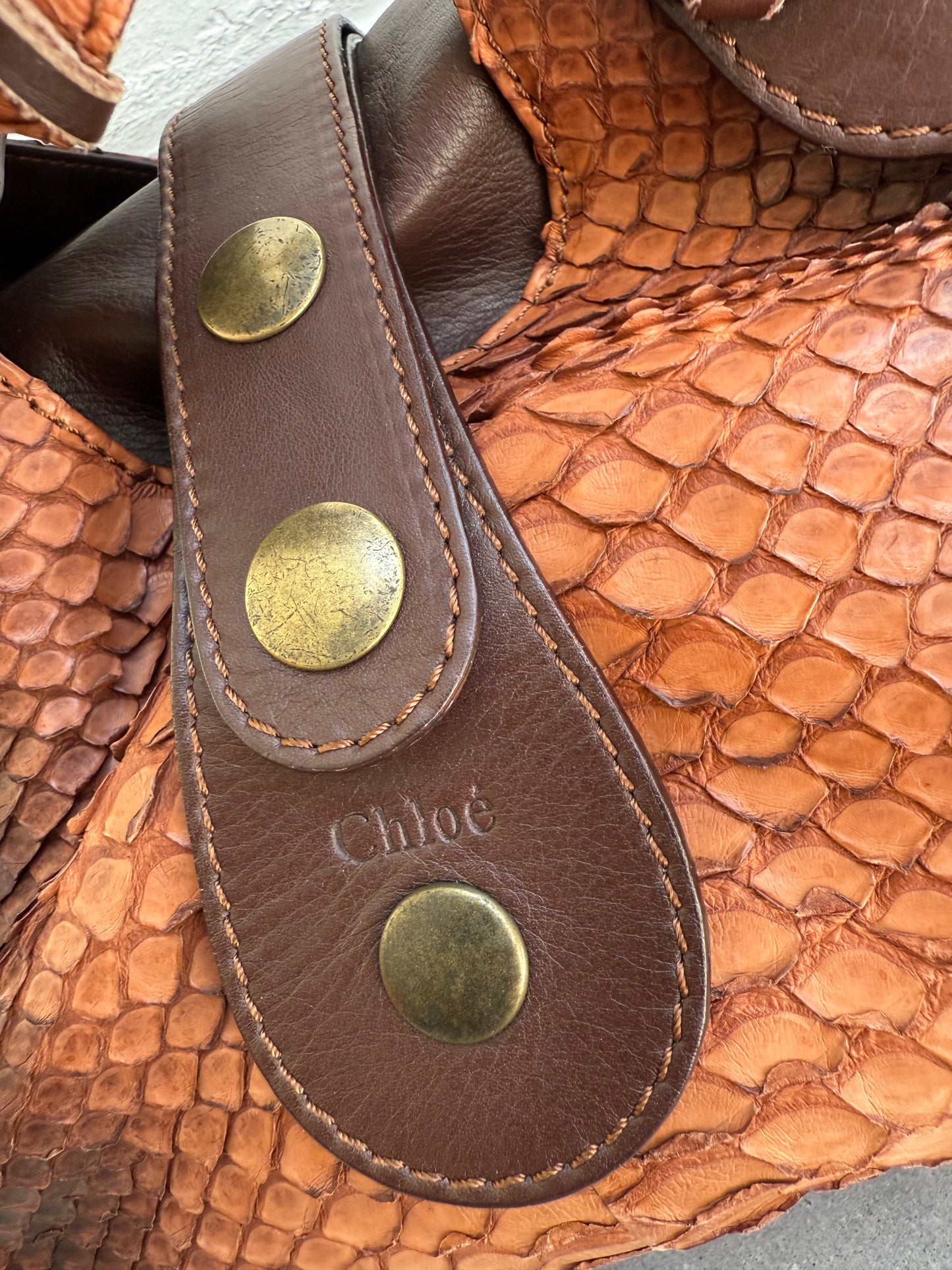 Chloe Python Silverado