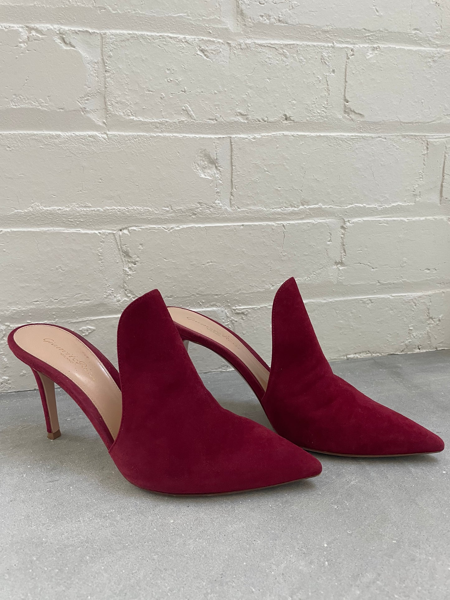 Gianvito Rossi Aramis Syrah Mules Size 38.5