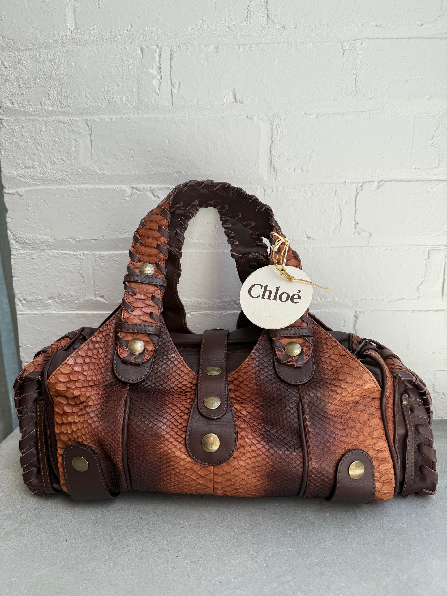 Chloe Python Silverado