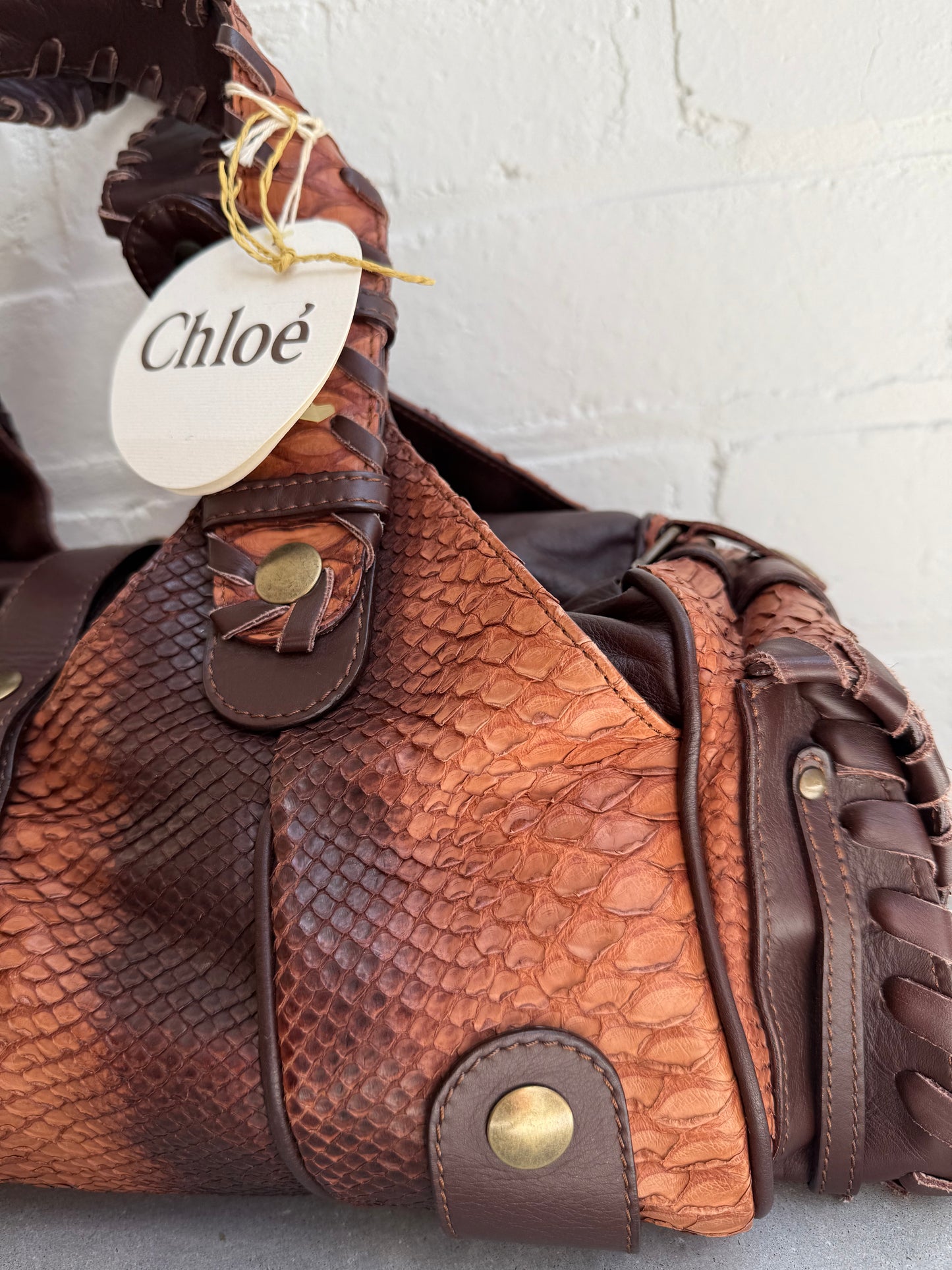 Chloe Python Silverado