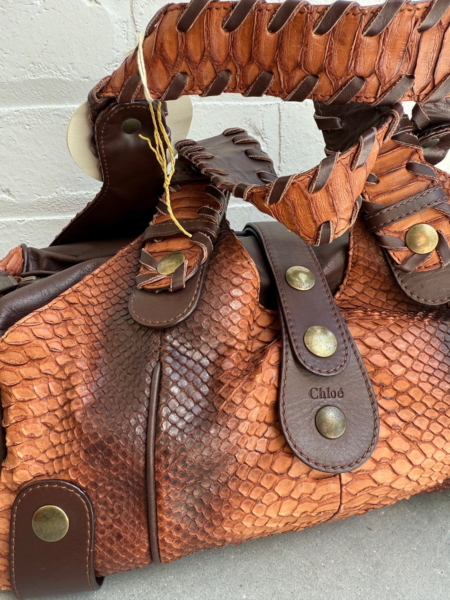 Chloe Python Silverado