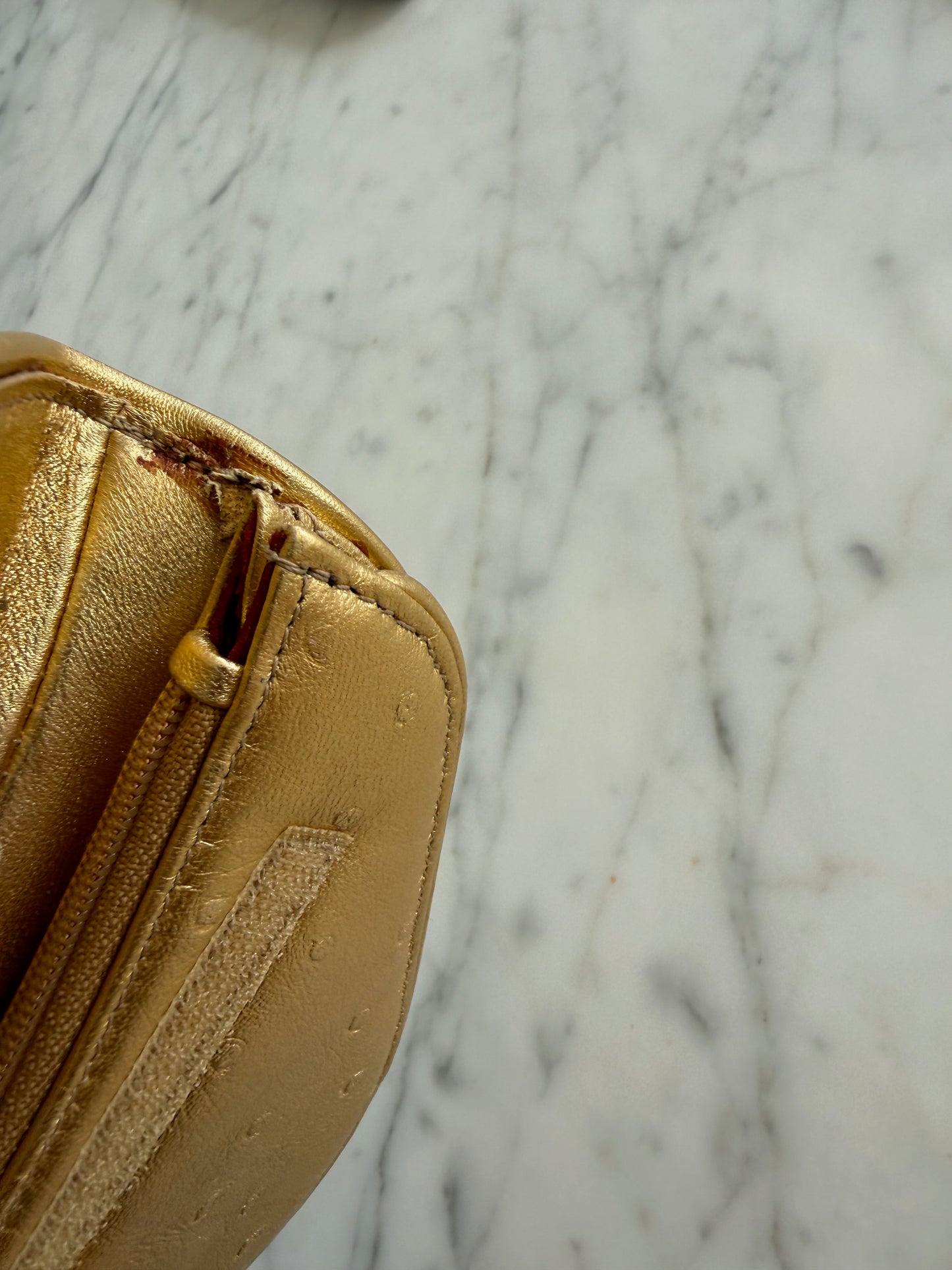 Christian Dior Gold Ostrich Saddle Coin Purse